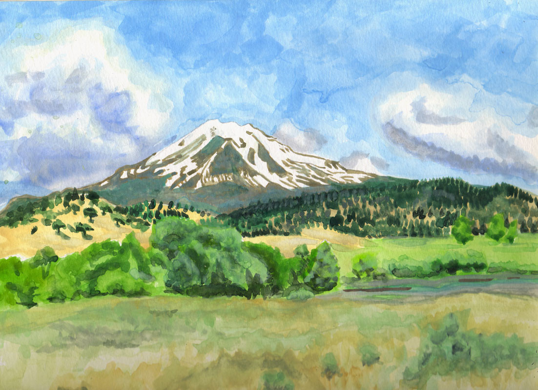 Shasta1