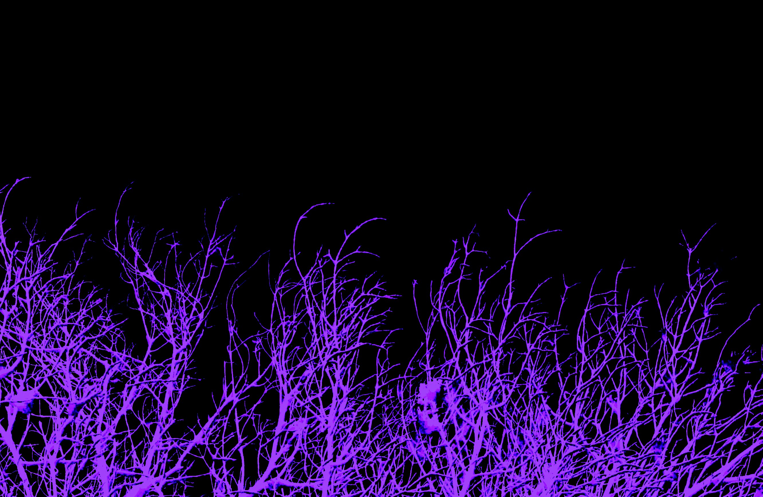 Glow Wallpaper 3 Purple By Ahelton84 On Deviantart Glow Wallpaper 3 Purple By Ahelton84 On Deviantart