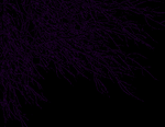 Dark Wallpaper-Purple