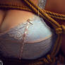 Nicole's Lace