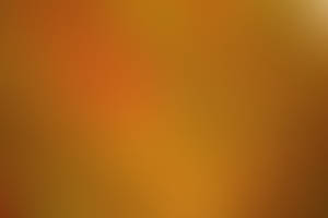 20111226-img 3103-1
