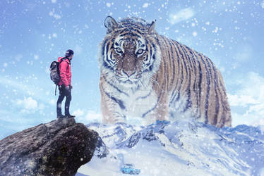 The Big Tiger - Photomanipulation