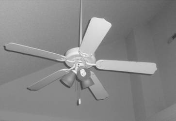 You'll never be as lonely as a ceiling fan