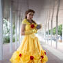 Belle Ballgown