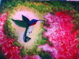 hummingbird