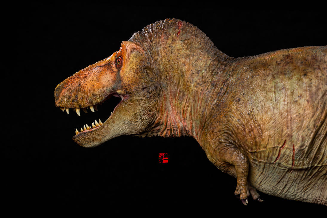 Larson Rex Tyrannosaurus rex LACM-23844 9 by hty930819 on DeviantArt