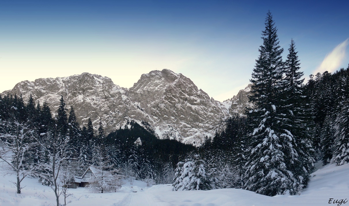 ...winter in Zakopane 8...