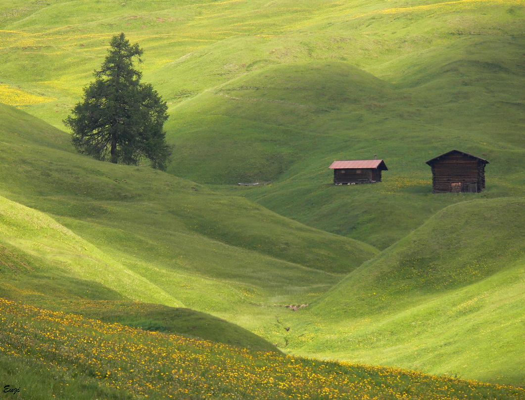 ...Alpe di Siusi 10...