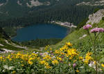 ...Tatry 186... by eugi3