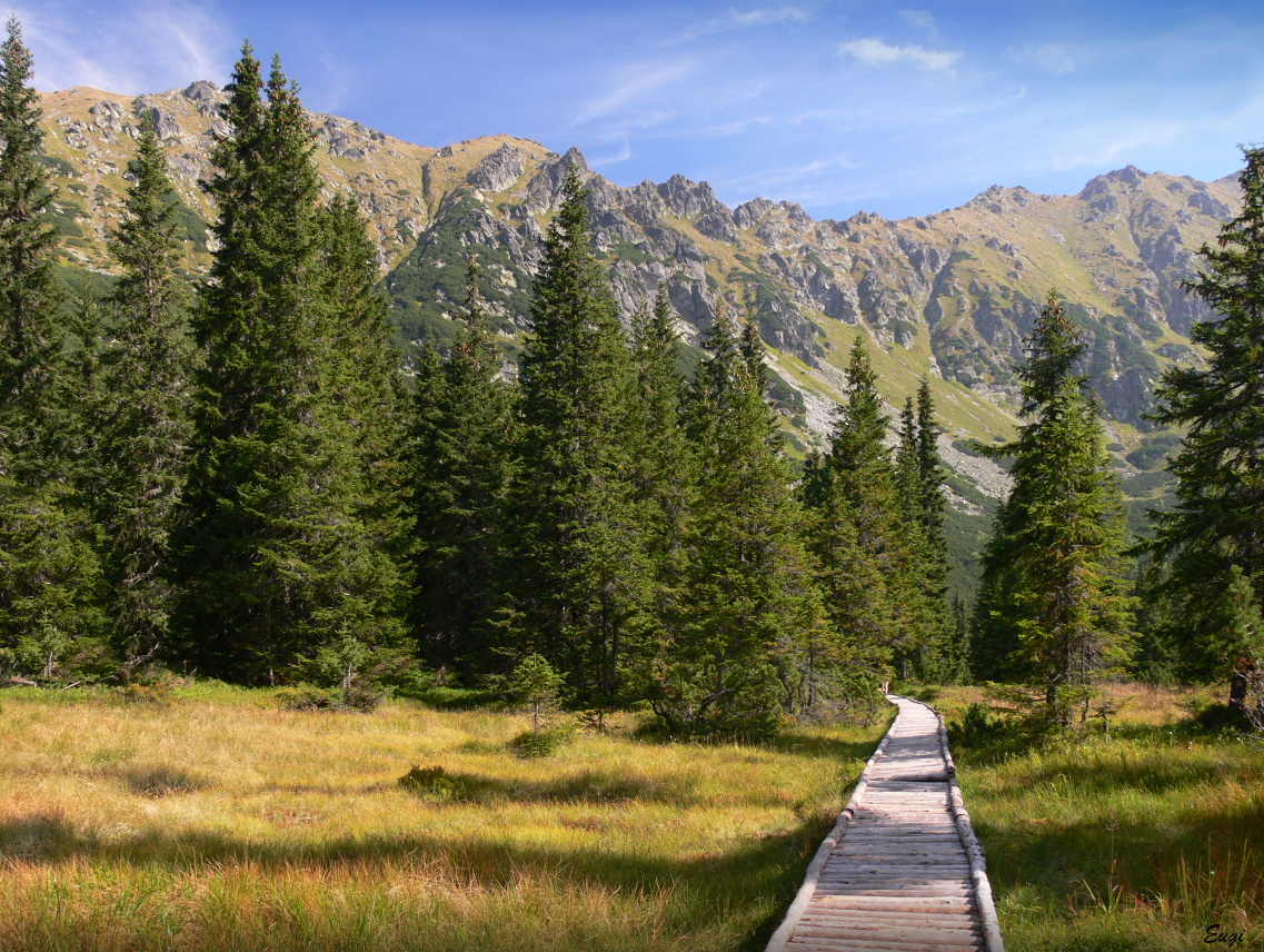 ...Tatry 207...