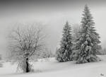 ...winter scene 9... by eugi3