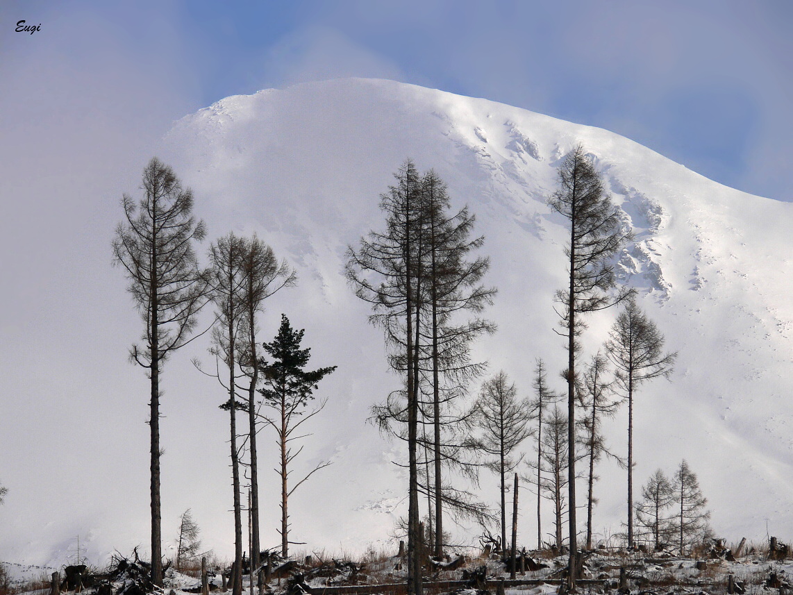 ...Tatry 302...