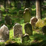 ...Old Jewish cementery 2...