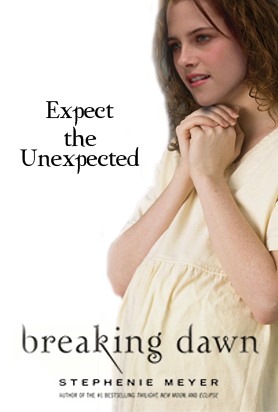 Breaking Dawn Cover.