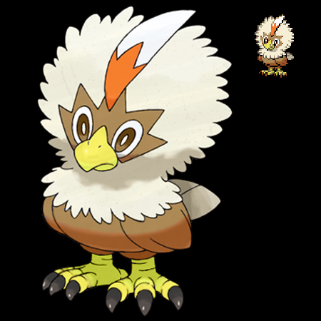 Pokemon 5G Shiny Rufflet