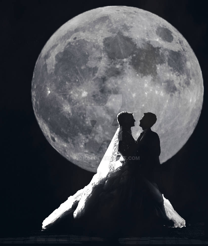 Under Moonlight By F10m On Deviantart Under Moonlight By F10m On Deviantart