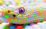 Candy Snake by kenzeec