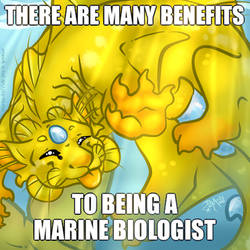 Benefits to Being a Marine Biologist