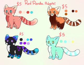 Red Panda Adopts! (OPEN)