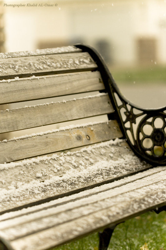 Snow chair