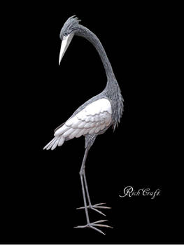 Heron black