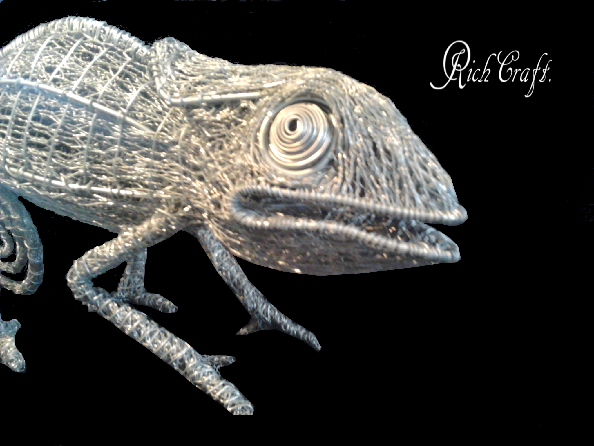 Chameleon wire sculpture4