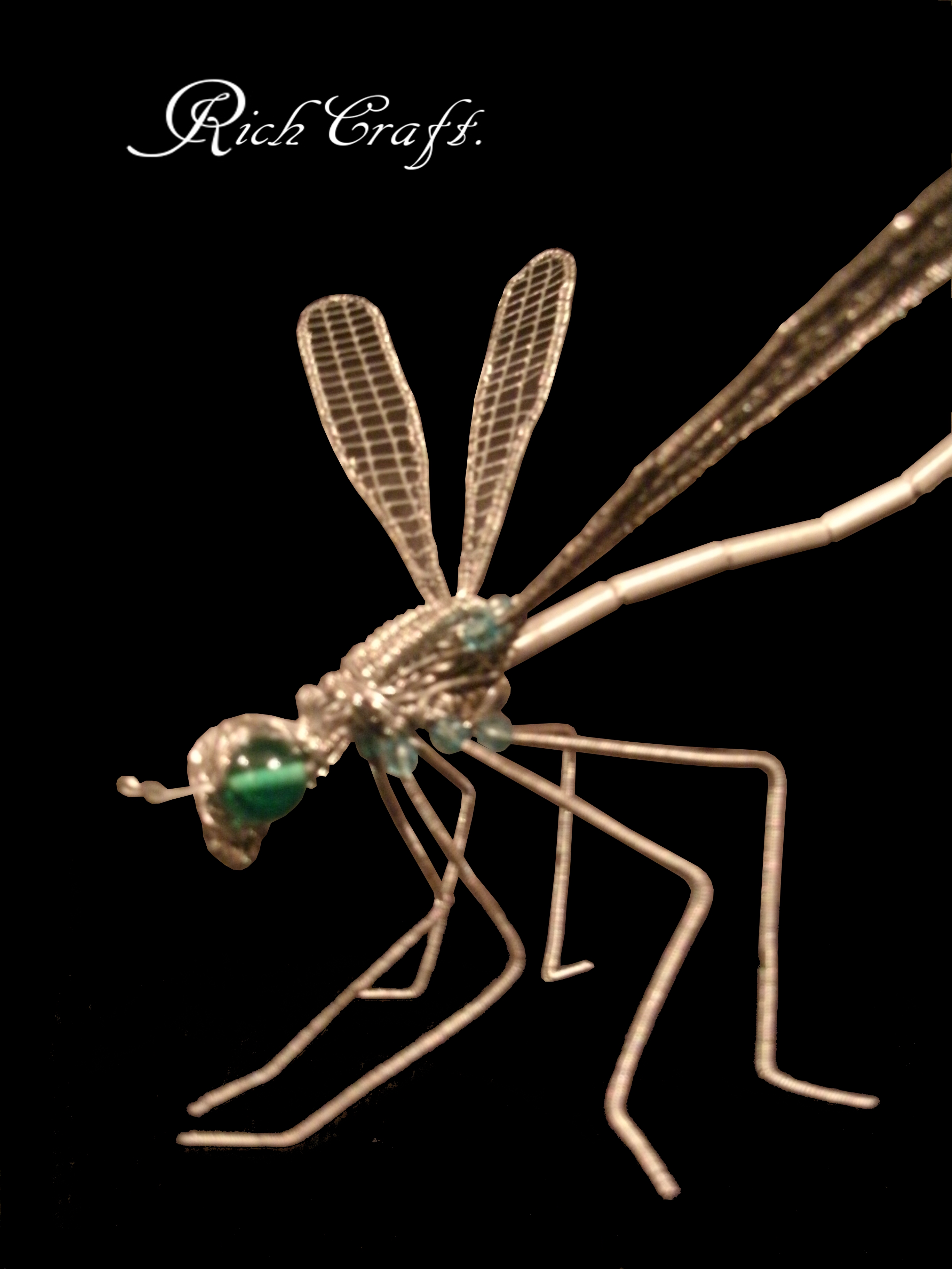 Dragon fly Sculpture2