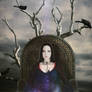 Amy Lee