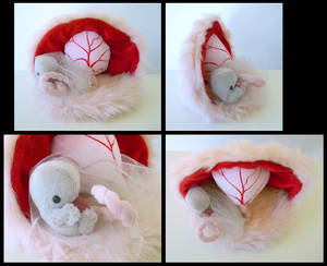 1st Trimester Embryo by SarityCreations 1st Trimester Embryo by SarityCreations
