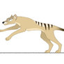 Thylacine run cycle