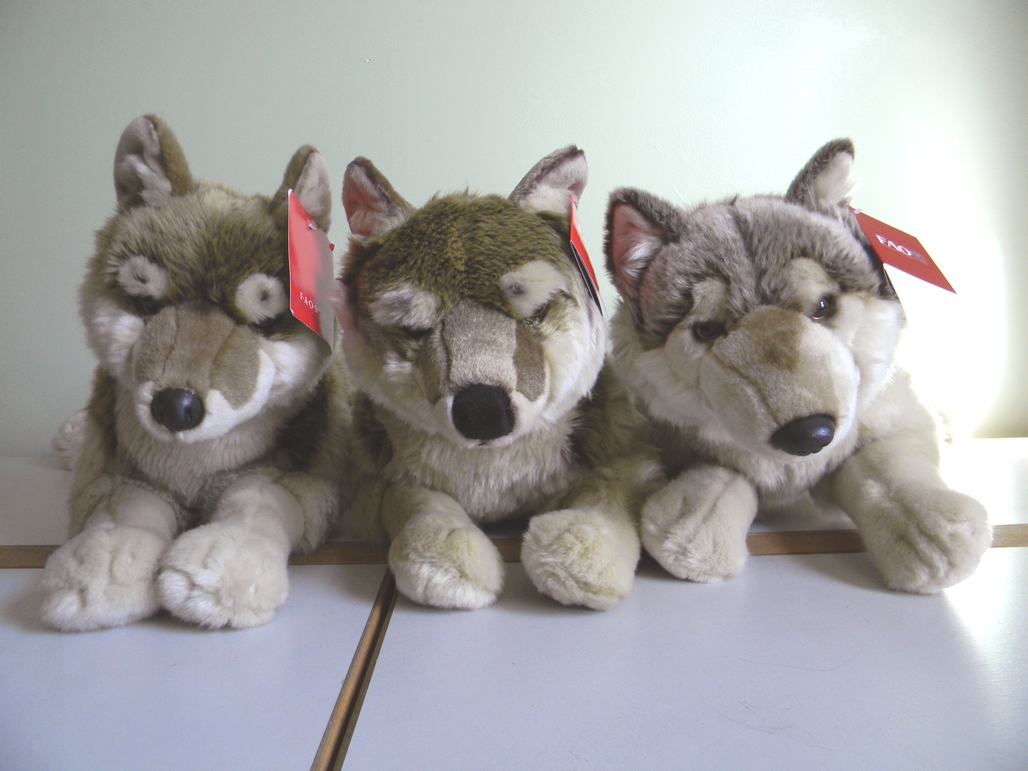 FAO Schwarz Wolf Evolution