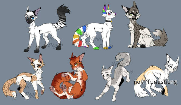 Cat adopts (3/6 Open)