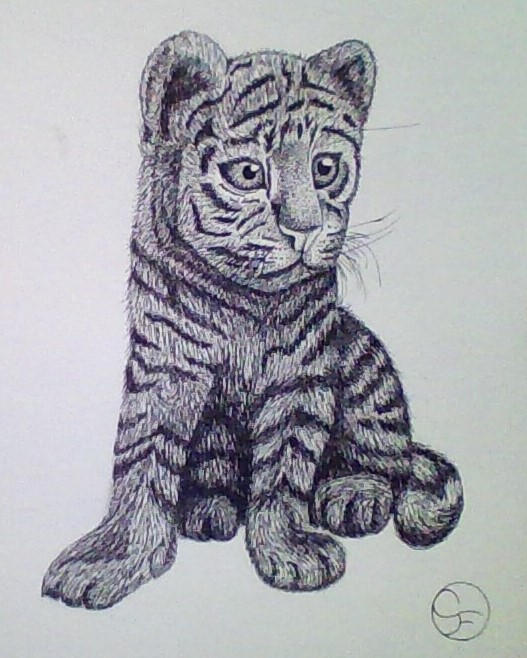 Tiger Pen Ink Tiger pen and ink by RavenHeart316 on DeviantArt