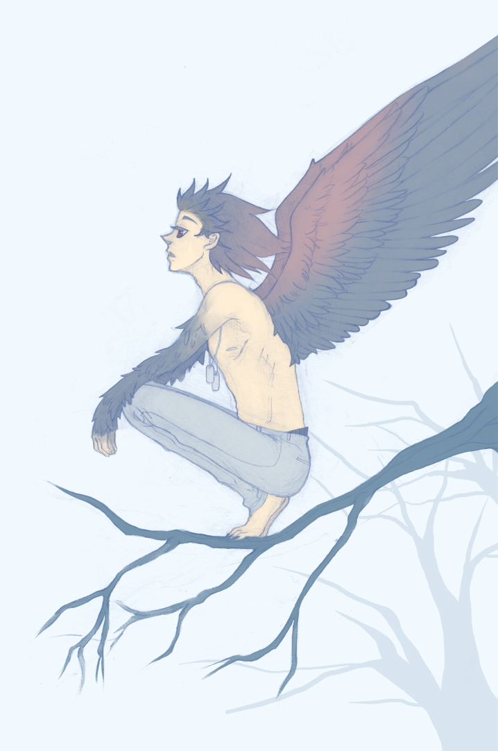 anime guy with bird wings