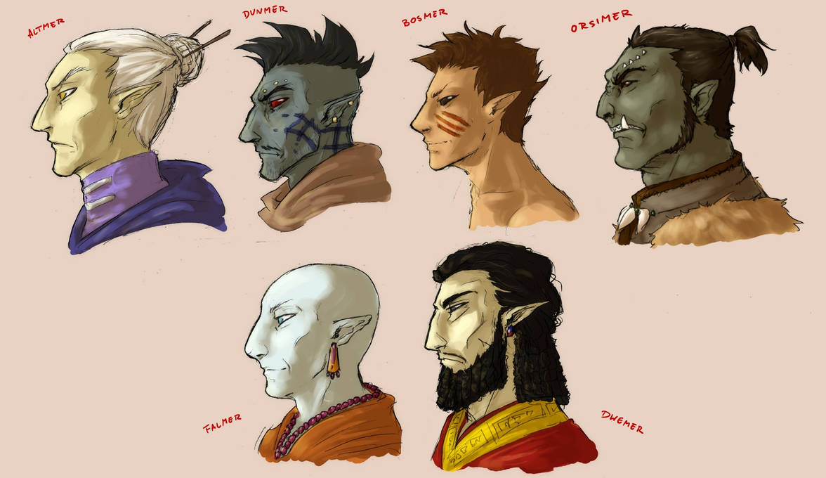 Elf races of Tamriel by ankalime on DeviantArt