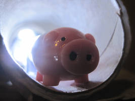 Piggy in tunnel light 2