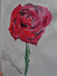 Watercolour Rose