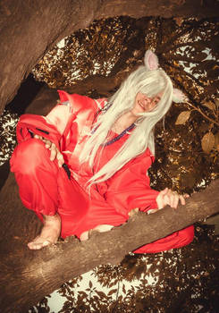 Inuyasha Cosplay