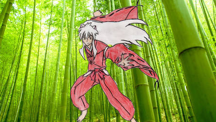 Inuyasha in Bamboo Forest