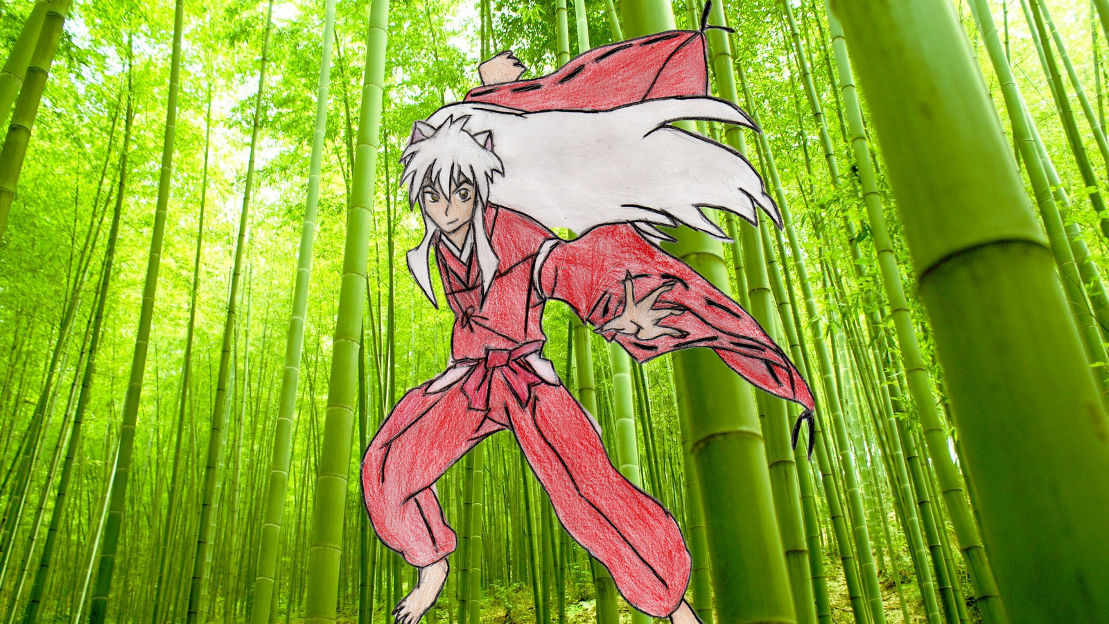 Inuyasha in Bamboo Forest