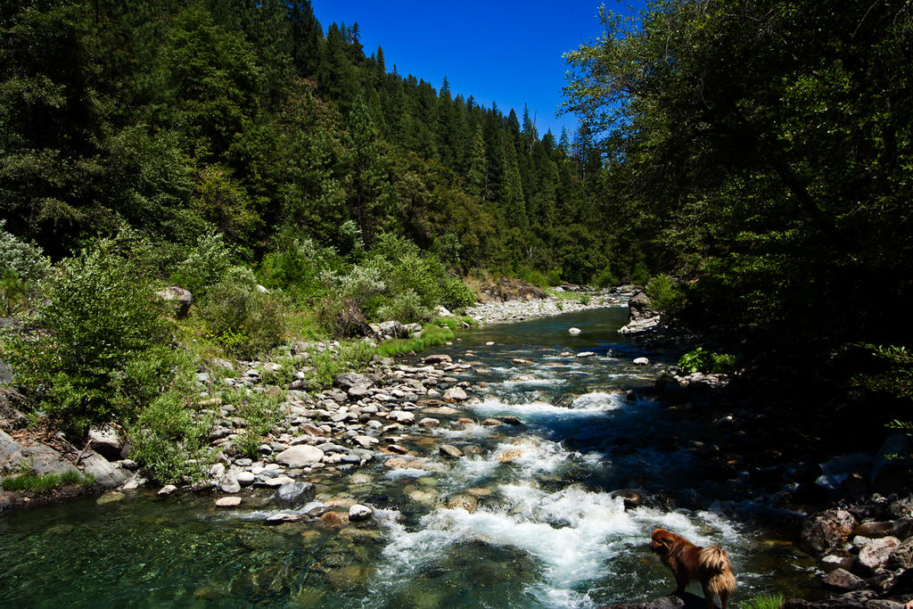 Remote River Remote river by celtictreeoflife on DeviantArt