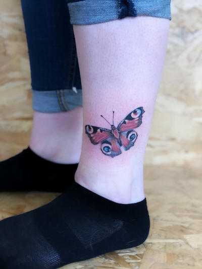 Peacock butterfly