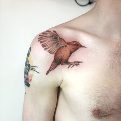Wren