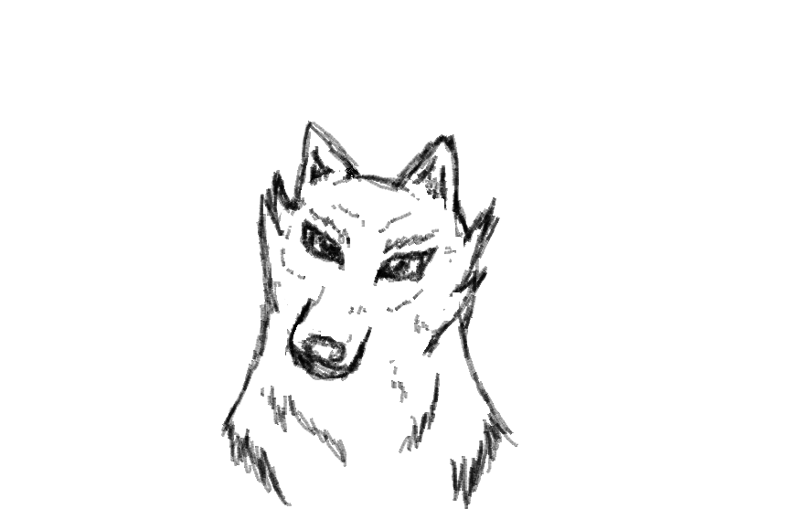 Random Wolf