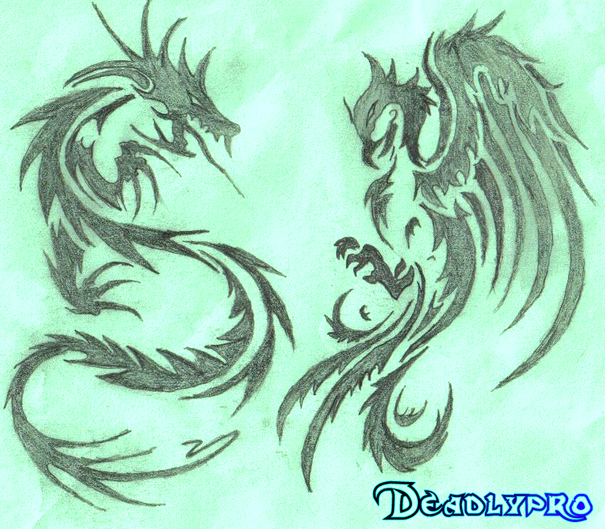 Dragon  Phoenix tattoo