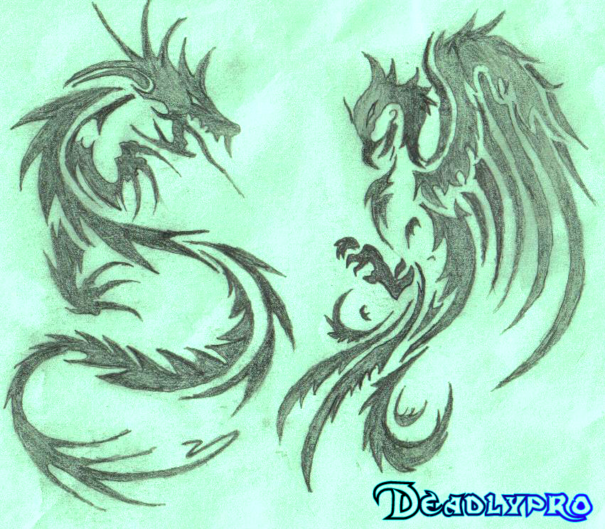 Tribal Dragon and Phoenix