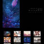 Fractal Art Calendar 2012