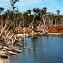 Gordon River Western Australia