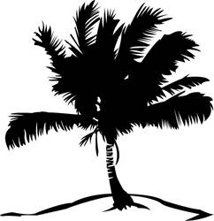 Palm Tree