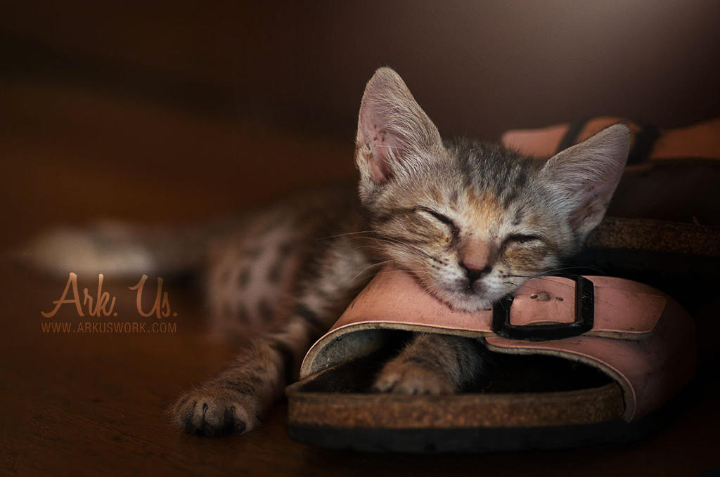 Nuna by Arkus83 Nuna by Arkus83